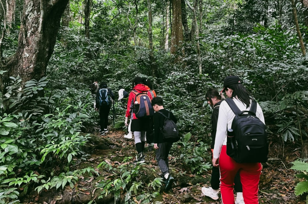 Trekking tại vườn Quốc gia Cúc Phương